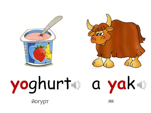 yoghurt a yak