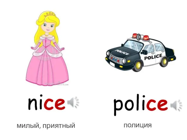 nice police