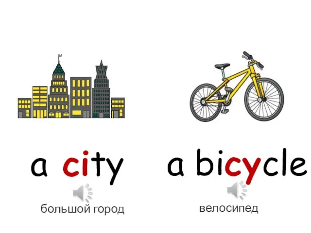 a city a bicycle