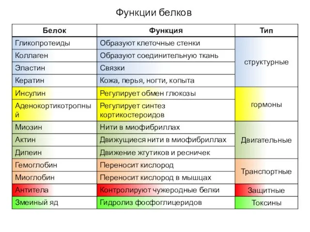 Функции белков