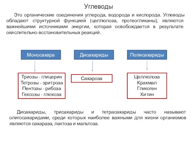 Углеводы Это органические соединения углерода, водорода и кислорода. Углеводы обладают структурной