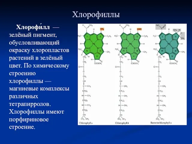 Хлорофиллы Хлорофи́лл — зелёный пигмент, обусловливающий окраску хлоропластов растений в зелёный