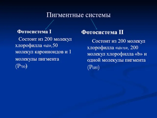 Пигментные системы Фотосистема I Состоит из 200 молекул хлорофилла «а»,50 молекул