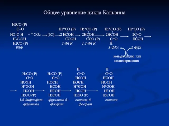 Общее уравнение цикла Кальвина Н2СО (Р) С=О Н2*СО (Р) Н2*СО (Р)