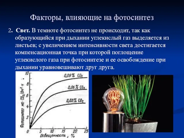 Факторы, влияющие на фотосинтез 2. Свет. В темноте фотосинтез не происходит,