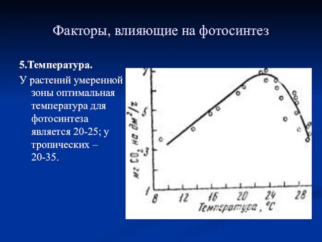 Факторы, влияющие на фотосинтез 5.Температура. У растений умеренной зоны оптимальная температура