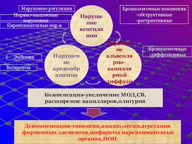 Нарушение вентиляции Нарушение кровообращения Нарушение альвеолярно- капиллярной диффузии Нарушение регуляции Нервно-мышечные