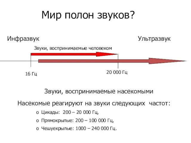 Мир полон звуков? Насекомые реагируют на звуки следующих частот: Цикады: 200