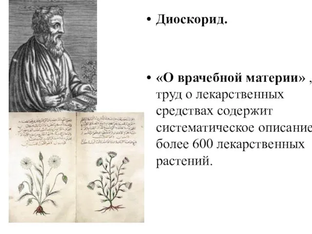 Диоскорид. «О врачебной материи» , труд о лекарственных средствах содержит систематическое описание более 600 лекарственных растений.