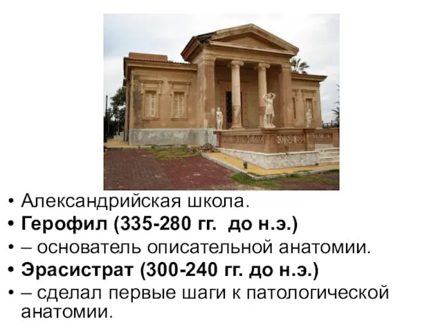 Александрийская школа. Герофил (335-280 гг. до н.э.) – основатель описательной анатомии.