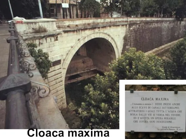 клоака Cloaca maxima