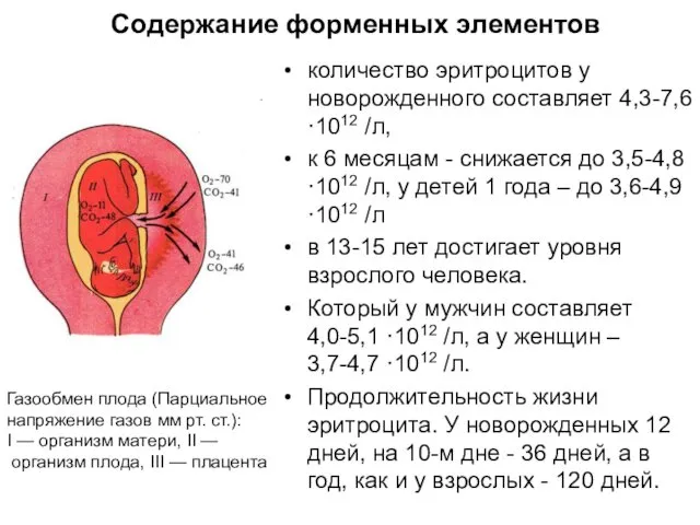 Содержание форменных элементов количество эритроцитов у новорожденного составляет 4,3-7,6 ·1012 /л,