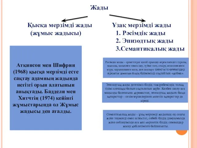 Жады Қысқа мерзімді жады Ұзақ мерзімді жады (жұмыс жадысы) 1. Рәсімдік