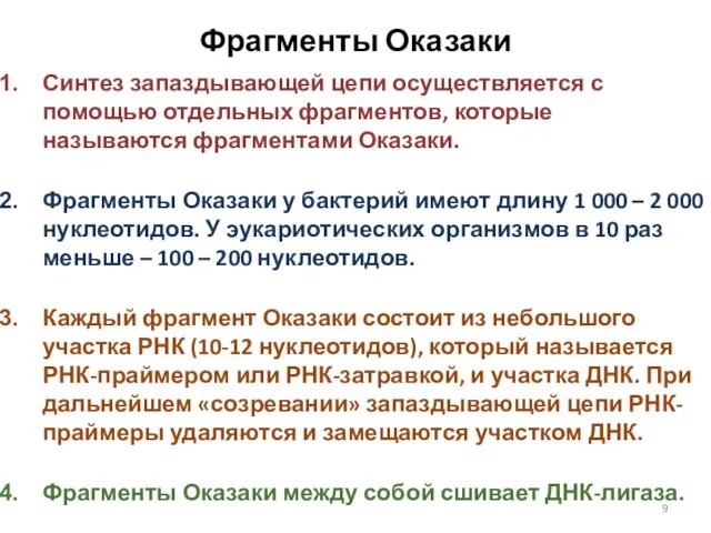 Фрагменты Оказаки Синтез запаздывающей цепи осуществляется с помощью отдельных фрагментов, которые