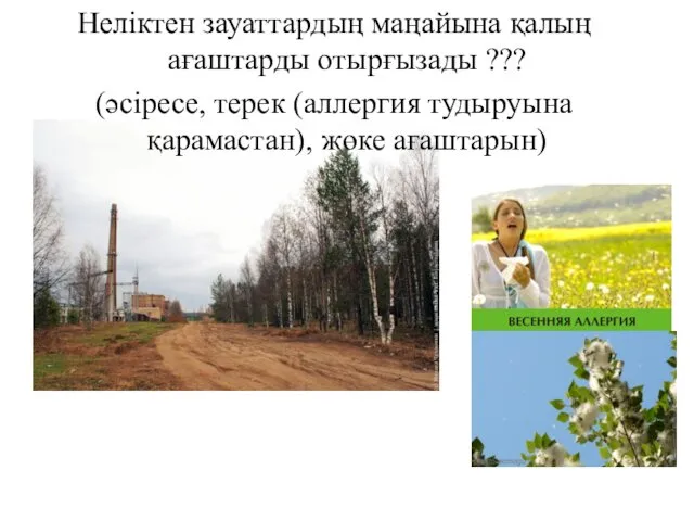 Неліктен зауаттардың маңайына қалың ағаштарды отырғызады ??? (әсіресе, терек (аллергия тудыруына қарамастан), жөке ағаштарын)