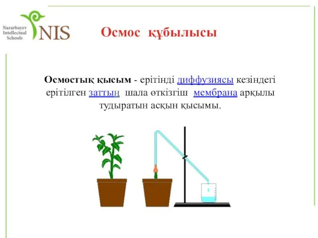 Осмос құбылысы Осмостық қысым - ерітінді диффузиясы кезіндегі ерітілген заттың шала