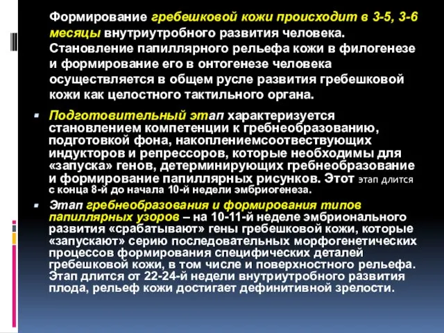 Формирование гребешковой кожи происходит в 3-5, 3-6 месяцы внутриутробного развития человека.