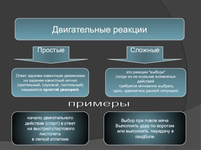 Двигательные реакции Ответ заранее известным движением на заранее известный сигнал (зрительный,