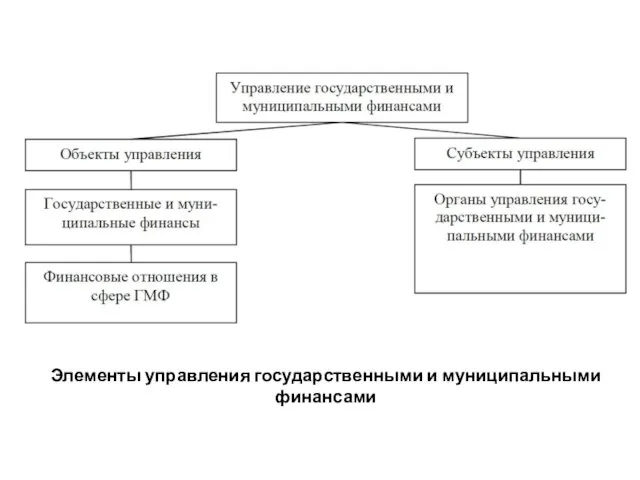 Элементы управления государственными и муниципальными финансами