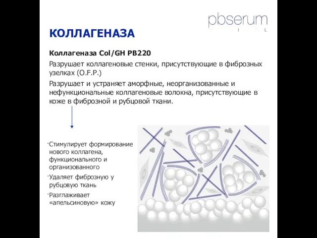 КОЛЛАГЕНАЗА Коллагеназа Col/GH PB220 Разрушает коллагеновые стенки, присутствующие в фиброзных узелках