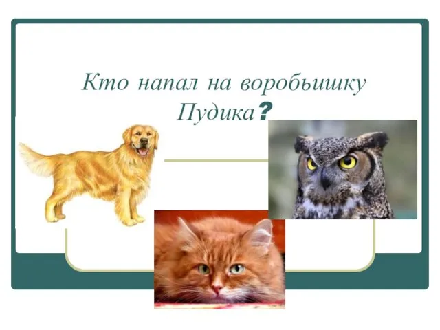 Кто напал на воробьишку Пудика?