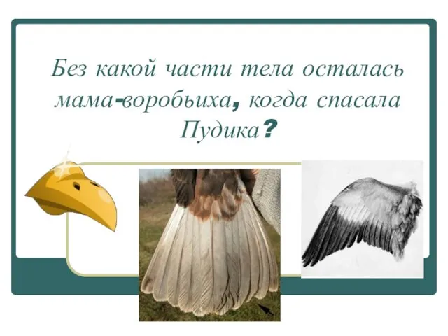 Без какой части тела осталась мама-воробьиха, когда спасала Пудика?