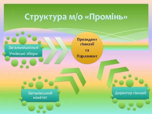 Структура м/о «Промінь»