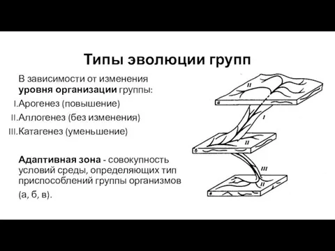 Типы эволюции групп В зависимости от изменения уровня организации группы: Арогенез