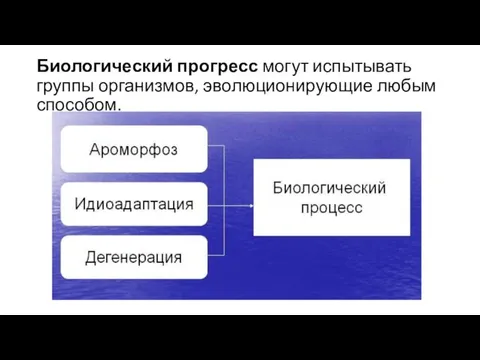 Биологический прогресс могут испытывать группы организмов, эволюционирующие любым способом.