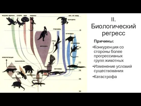 II. Биологический регресс Причины: Конкуренция со стороны более прогрессивных групп животных Изменение условий существования Катастрофа