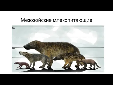 Мезозойские млекопитающие