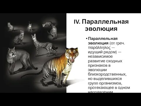 Параллельная эволюция (от греч. παράλληλος — идущий рядом) — независимое развитие