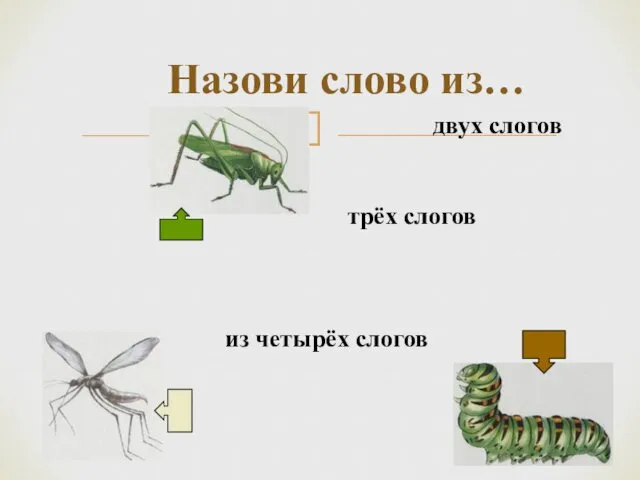 Назови слово из… двух слогов трёх слогов из четырёх слогов