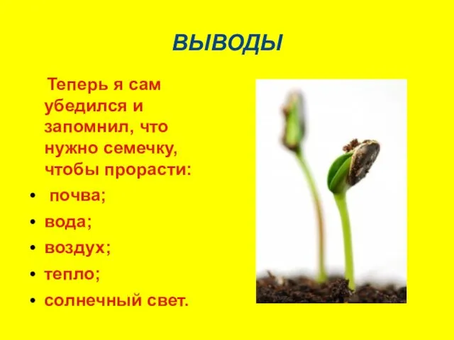 ВЫВОДЫ Теперь я сам убедился и запомнил, что нужно семечку, чтобы