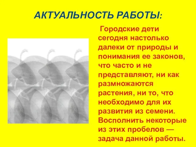 АКТУАЛЬНОСТЬ РАБОТЫ: Городские дети сегодня настолько далеки от природы и понимания