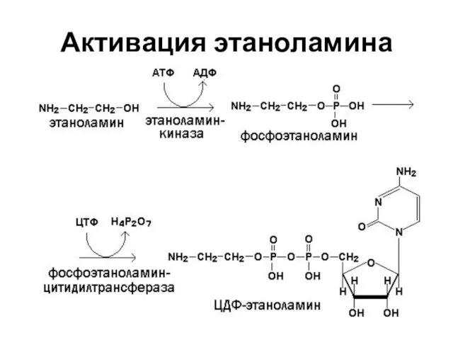 Активация этаноламина