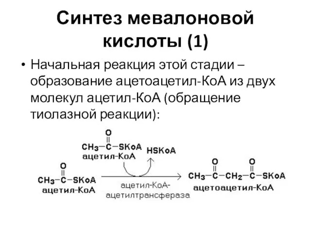 Синтез мевалоновой кислоты (1) Начальная реакция этой стадии –образование ацетоацетил-КоА из