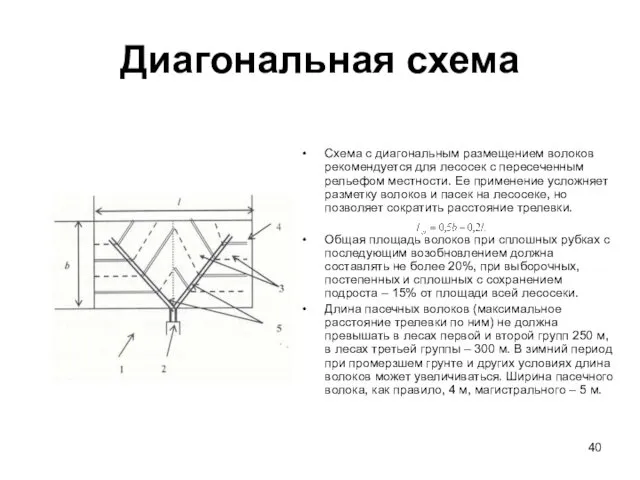 Диагональная схема Схема с диагональным размещением волоков рекомендуется для лесосек с