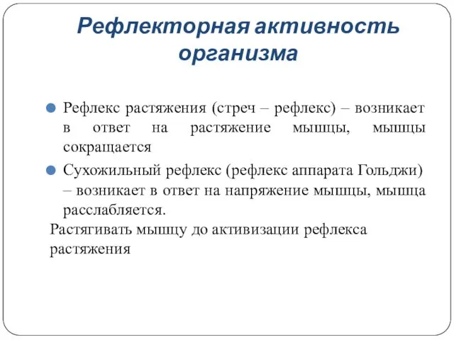 Рефлекс растяжения (стреч – рефлекс) – возникает в ответ на растяжение