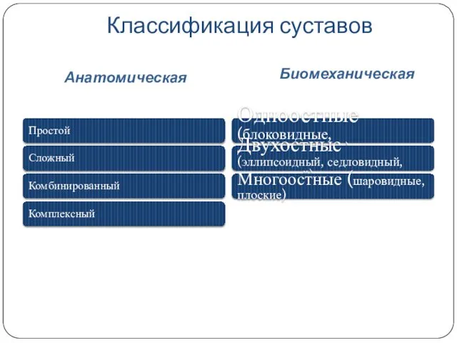 Классификация суставов Анатомическая Биомеханическая Простой Сложный Комбинированный Комплексный Одноостные (блоковидные, цилиндрические)