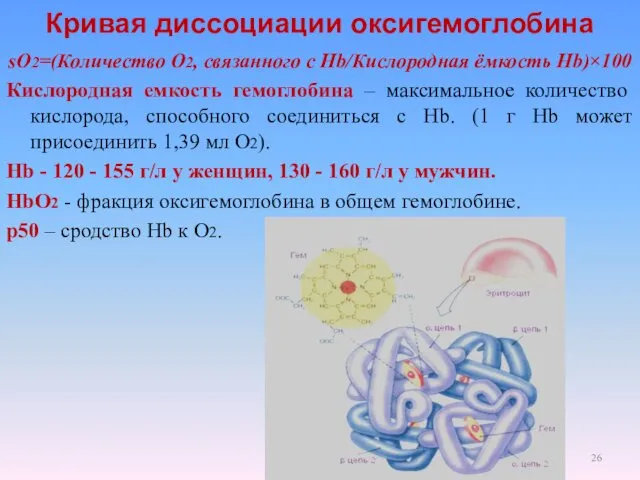 Кривая диссоциации оксигемоглобина sO2=(Количество О2, связанного с Hb/Кислородная ёмкость Hb)×100 Кислородная