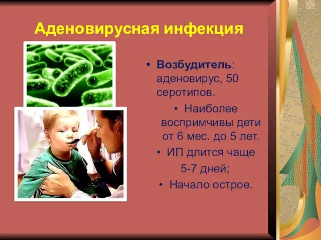 Аденовирусная инфекция Возбудитель: аденовирус, 50 серотипов. Наиболее воспримчивы дети от 6