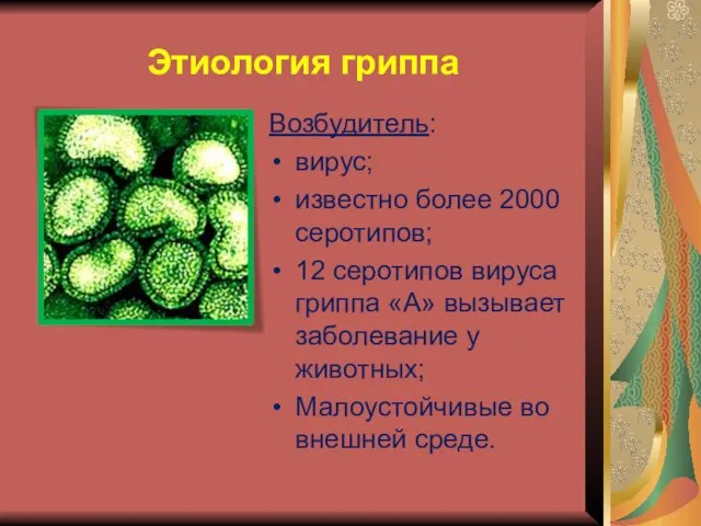 Этиология гриппа Возбудитель: вирус; известно более 2000 серотипов; 12 серотипов вируса