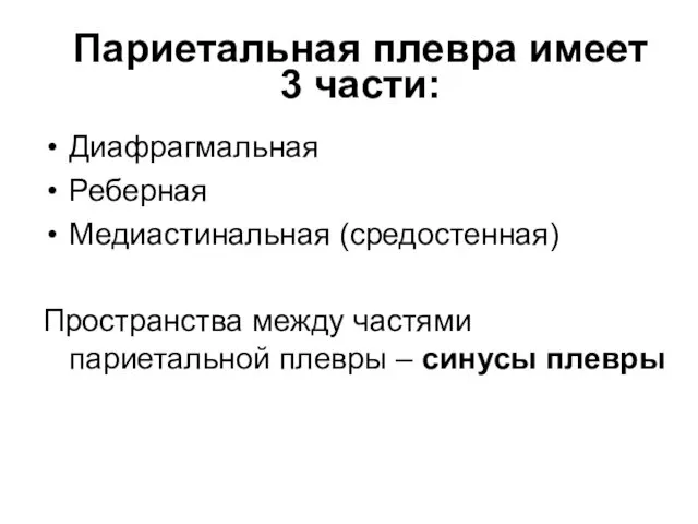 Париетальная плевра имеет 3 части: Диафрагмальная Реберная Медиастинальная (средостенная) Пространства между