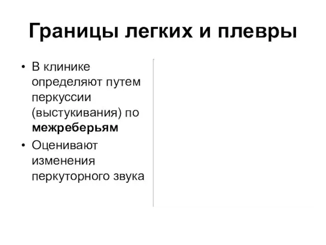 Границы легких и плевры В клинике определяют путем перкуссии (выстукивания) по межреберьям Оценивают изменения перкуторного звука