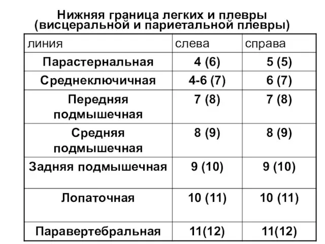 Нижняя граница легких и плевры (висцеральной и париетальной плевры)