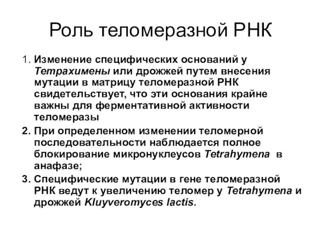 Роль теломеразной РНК 1. Изменение специфических оснований у Тетрахимены или дрожжей