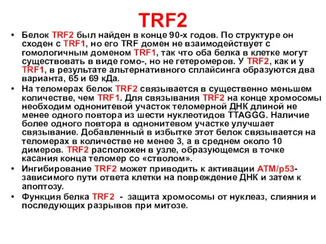 ТRF2 Белок ТRF2 был найден в конце 90-х годов. По структуре