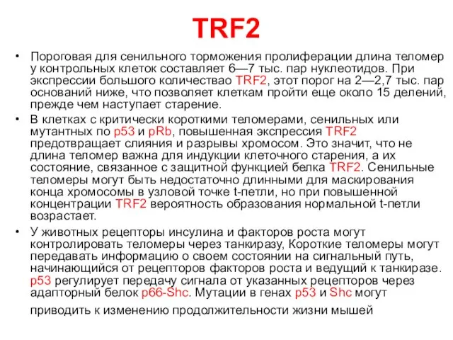 ТRF2 Пороговая для сенильного торможения пролиферации длина теломер у контрольных клеток