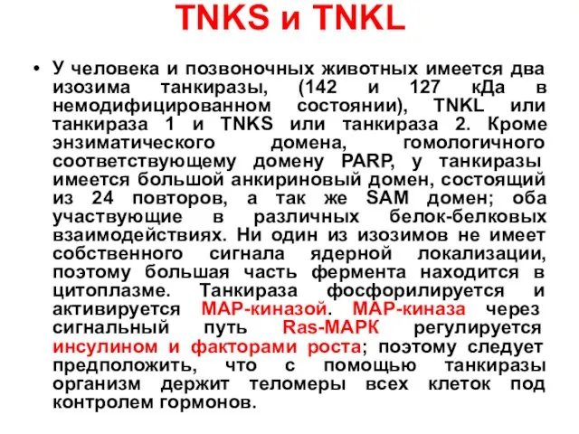 TNKS и TNKL У человека и позвоночных животных имеется два изозима